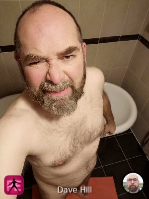 toilet — Dave Hill