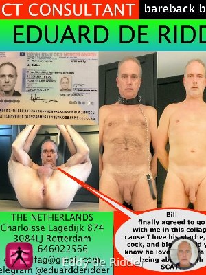 All — Eddy de Ridder
